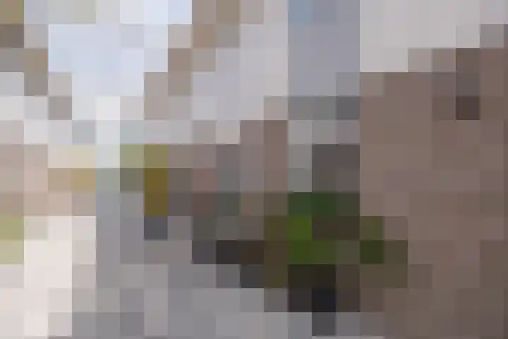 Gaast 15 Huizen thumbnail 38