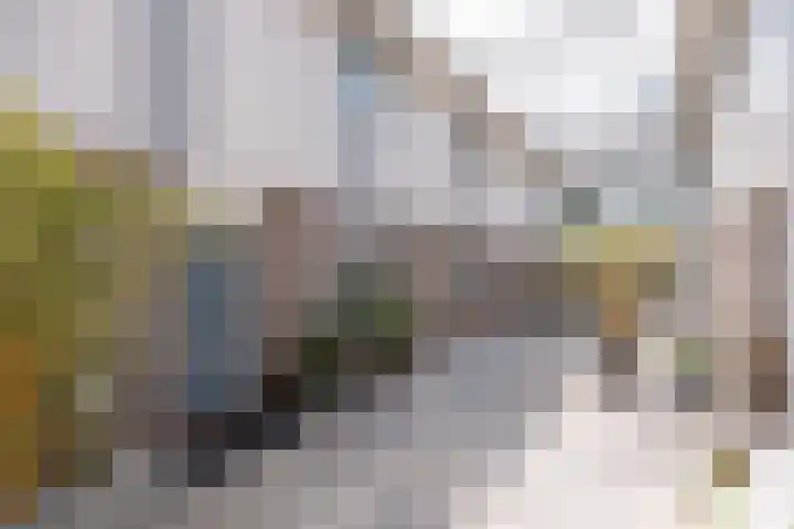 Gaast 15 Huizen thumbnail 39
