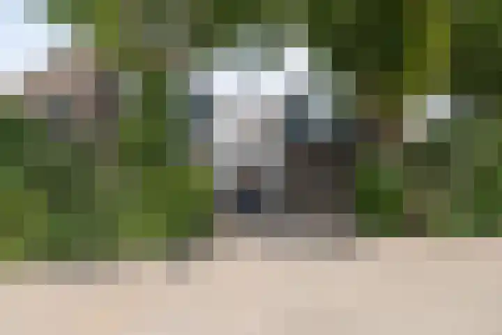 Gaast 15 Huizen thumbnail 40