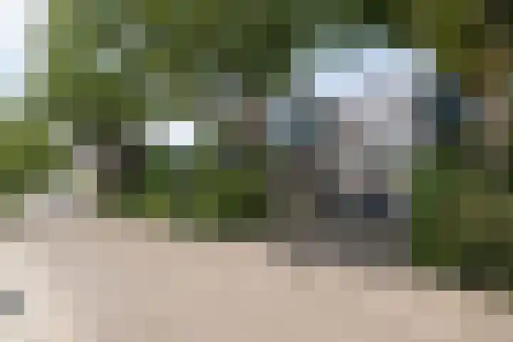 Gaast 15 Huizen thumbnail 41