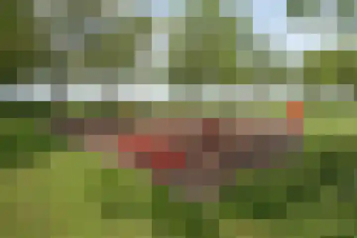 Gaast 15 Huizen thumbnail 42