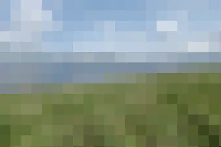 Gaast 15 Huizen thumbnail 44
