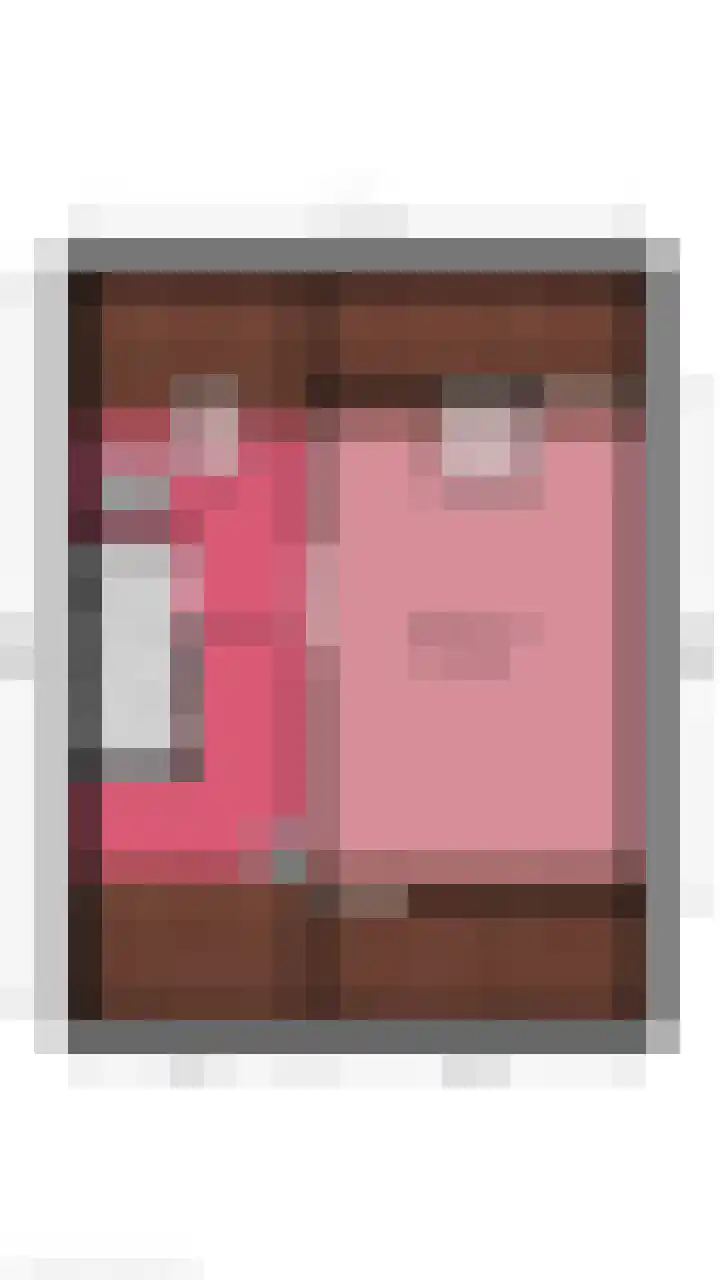 Gaast 15 Huizen thumbnail 48