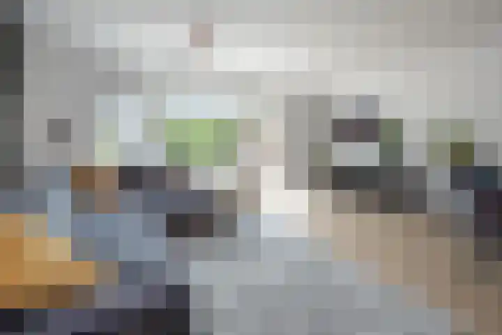 Gaast 15 Huizen thumbnail 8