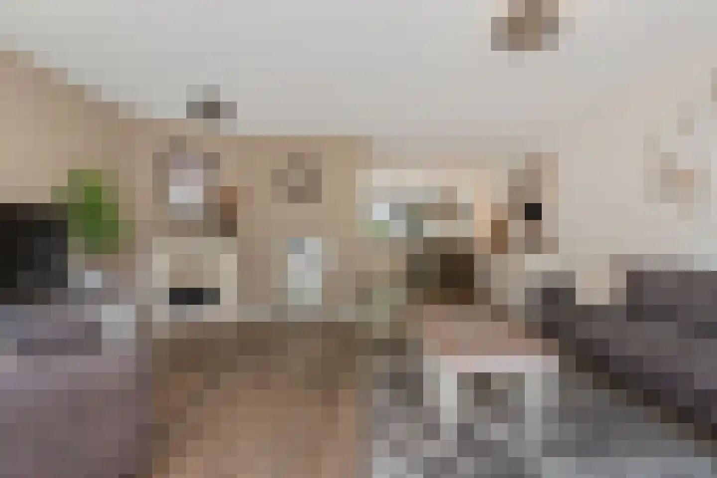 Gaast 18 Huizen thumbnail 17