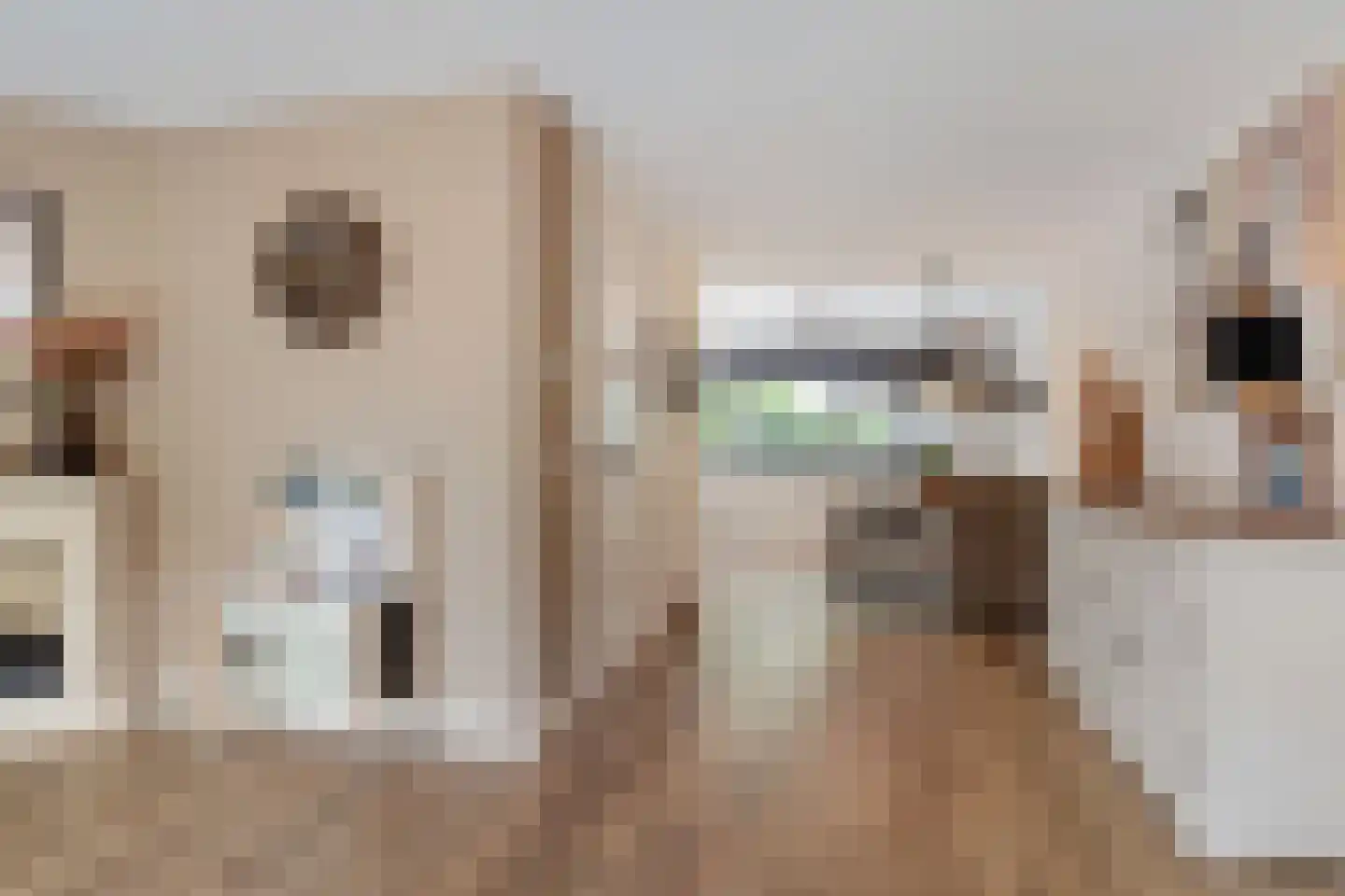 Gaast 18 Huizen thumbnail 20