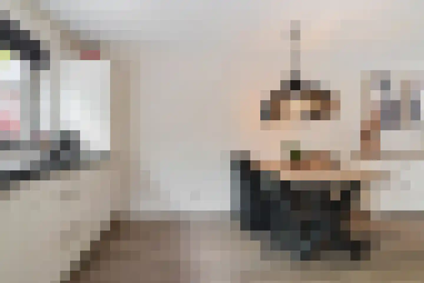 Gaast 18 Huizen thumbnail 26