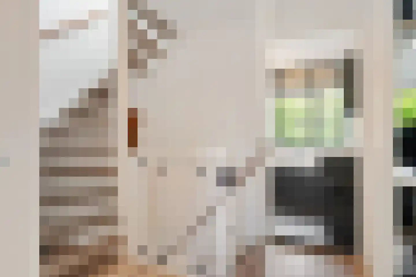 Gaast 18 Huizen thumbnail 29