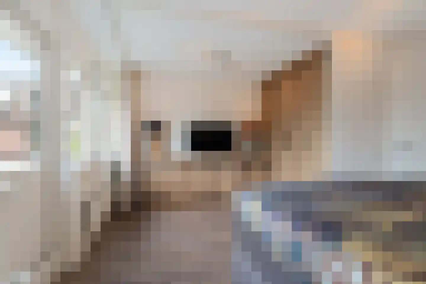 Gaast 18 Huizen thumbnail 32