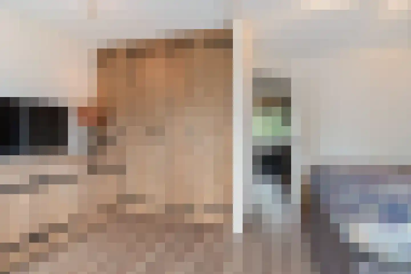 Gaast 18 Huizen thumbnail 33