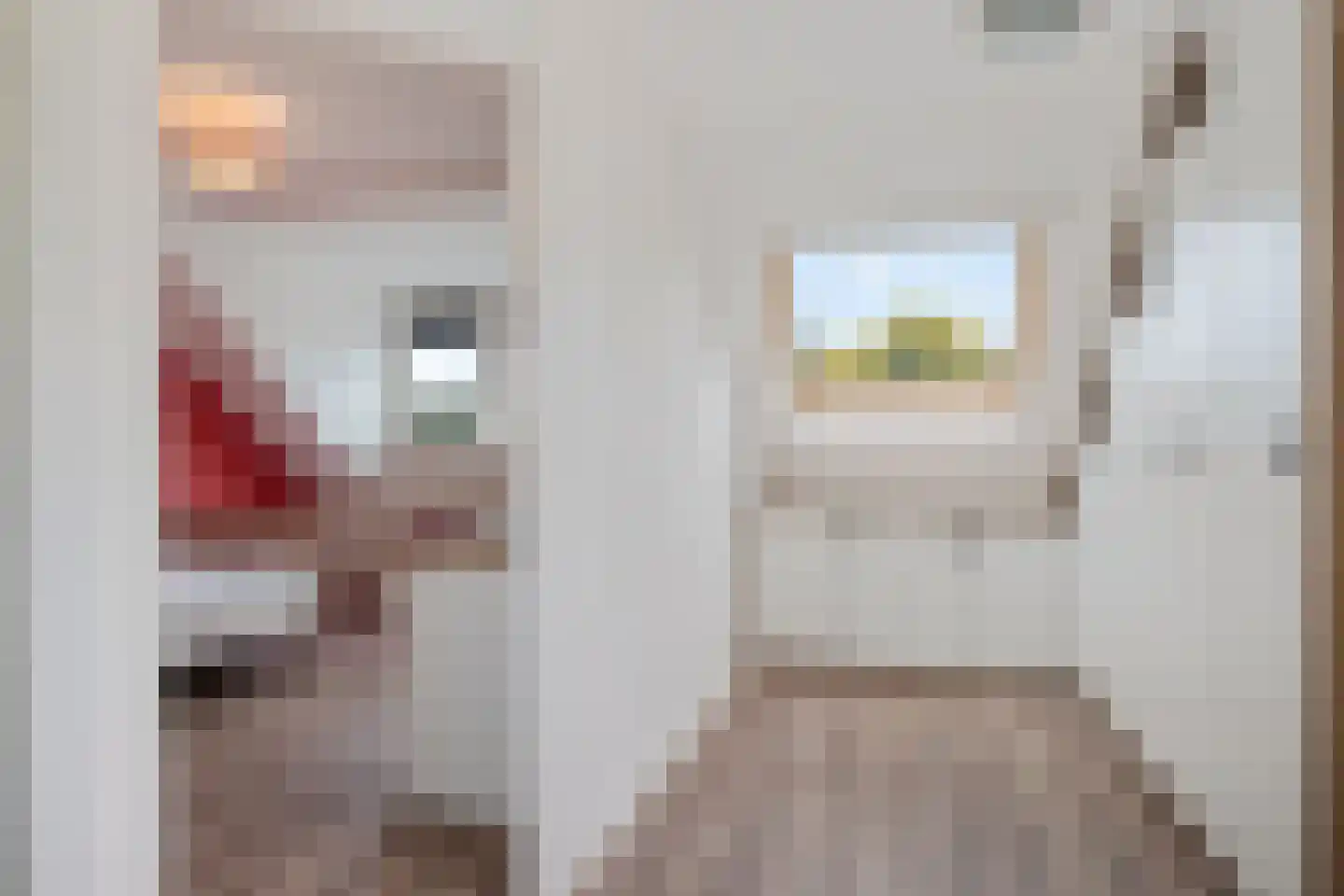 Gaast 18 Huizen thumbnail 40