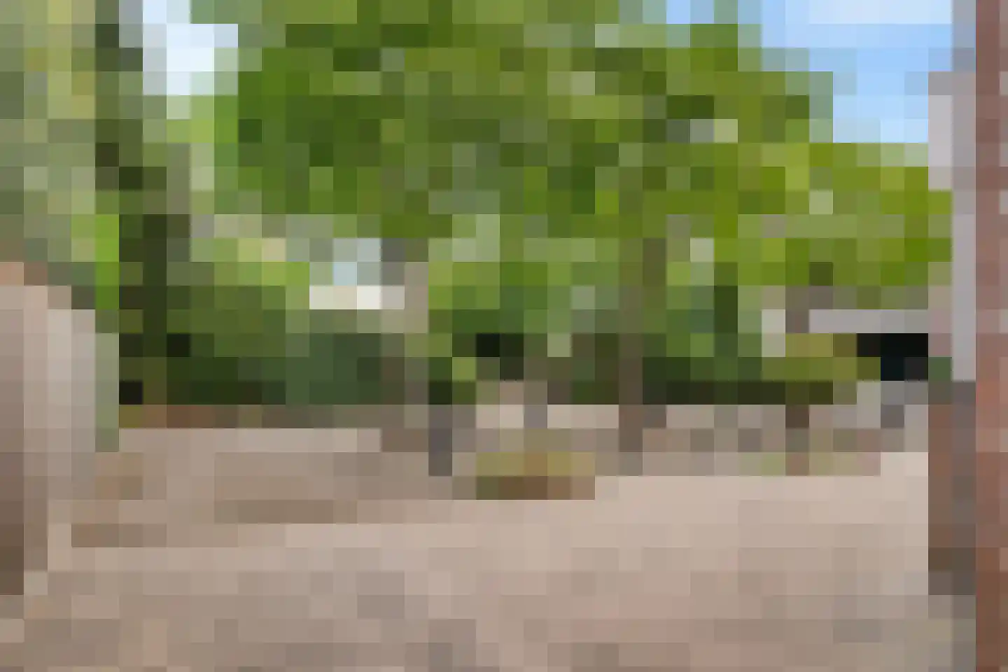 Gaast 18 Huizen thumbnail 48