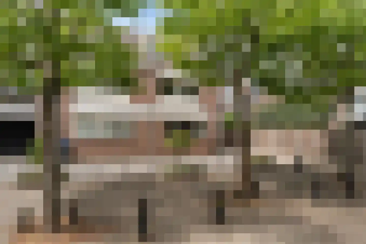 Gaast 18 Huizen thumbnail 51