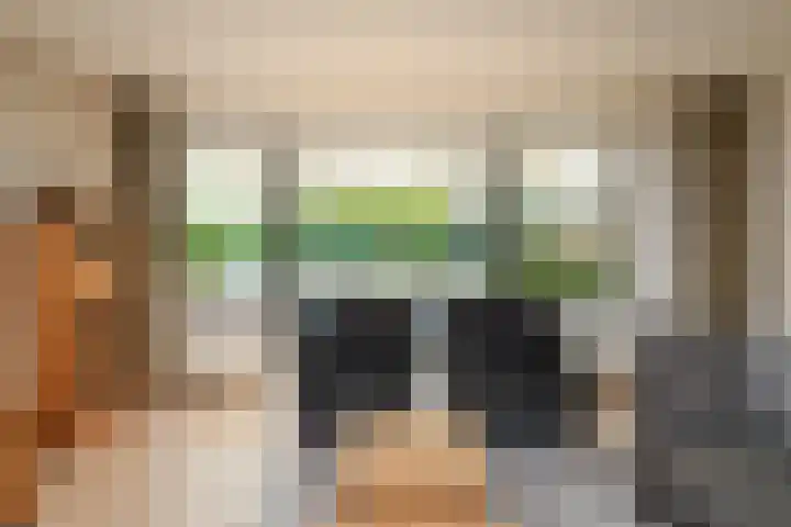 Gaast 20 Huizen thumbnail 12