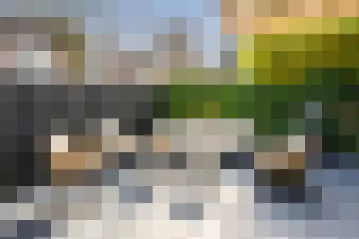 Gaast 20 Huizen thumbnail 14