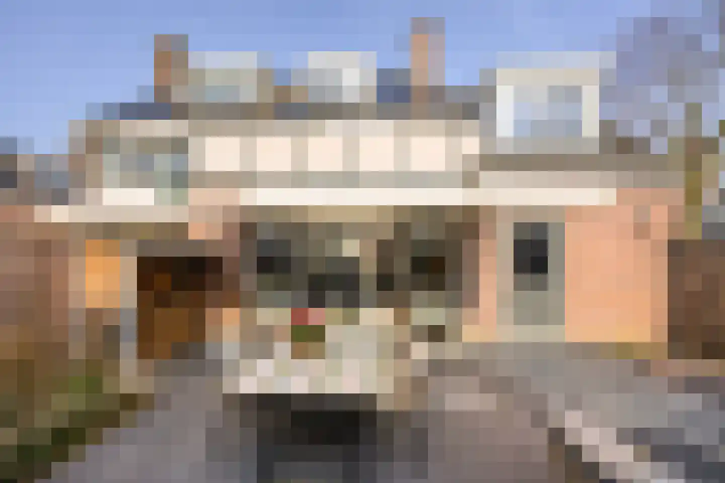 Gaast 20 Huizen thumbnail 15