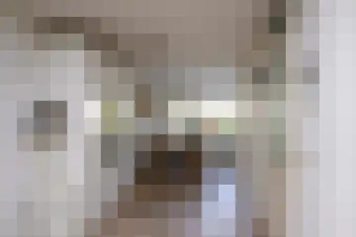 Gaast 20 Huizen thumbnail 17