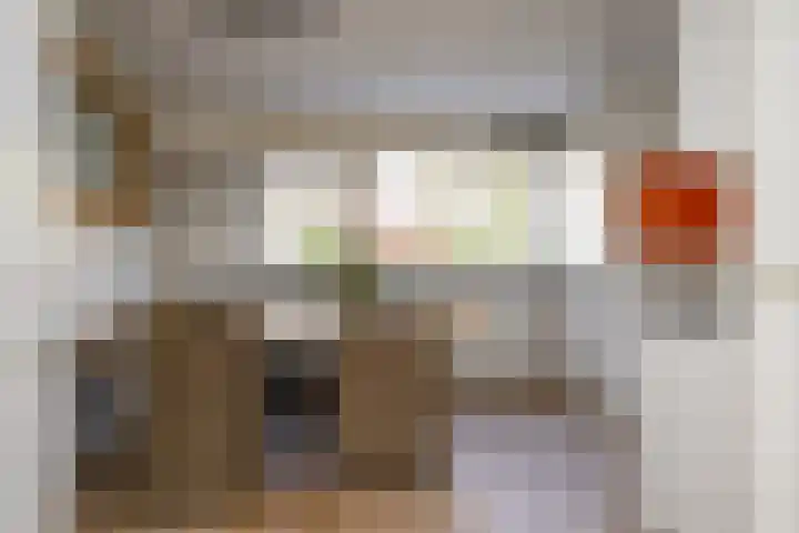 Gaast 20 Huizen thumbnail 18