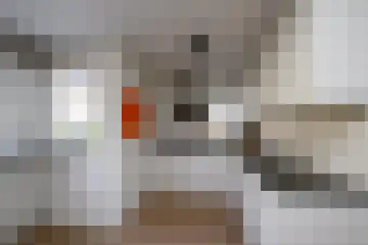 Gaast 20 Huizen thumbnail 19