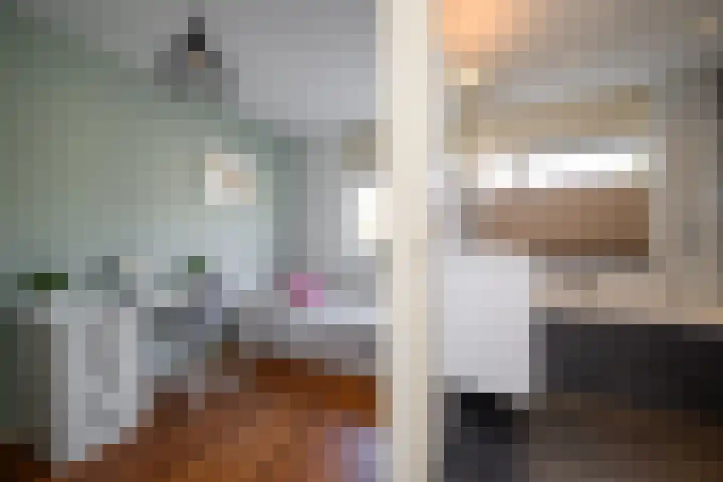 Gaast 20 Huizen thumbnail 24