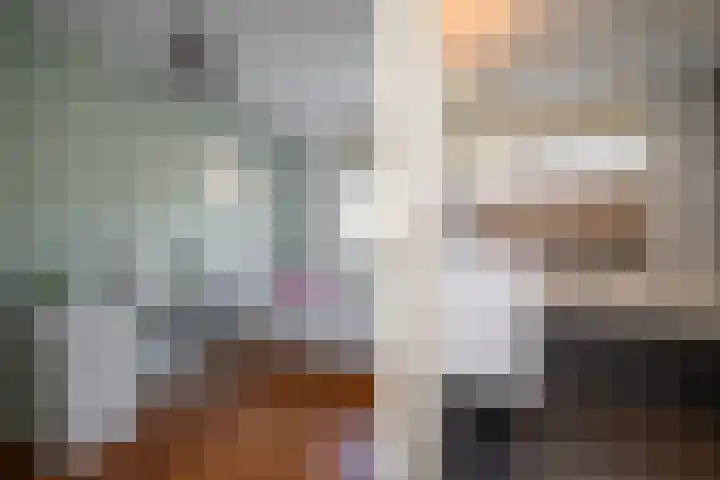 Gaast 20 Huizen thumbnail 24