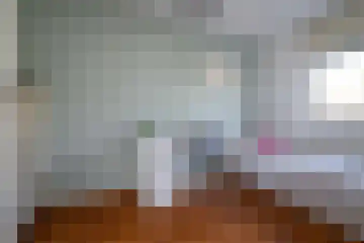 Gaast 20 Huizen thumbnail 25