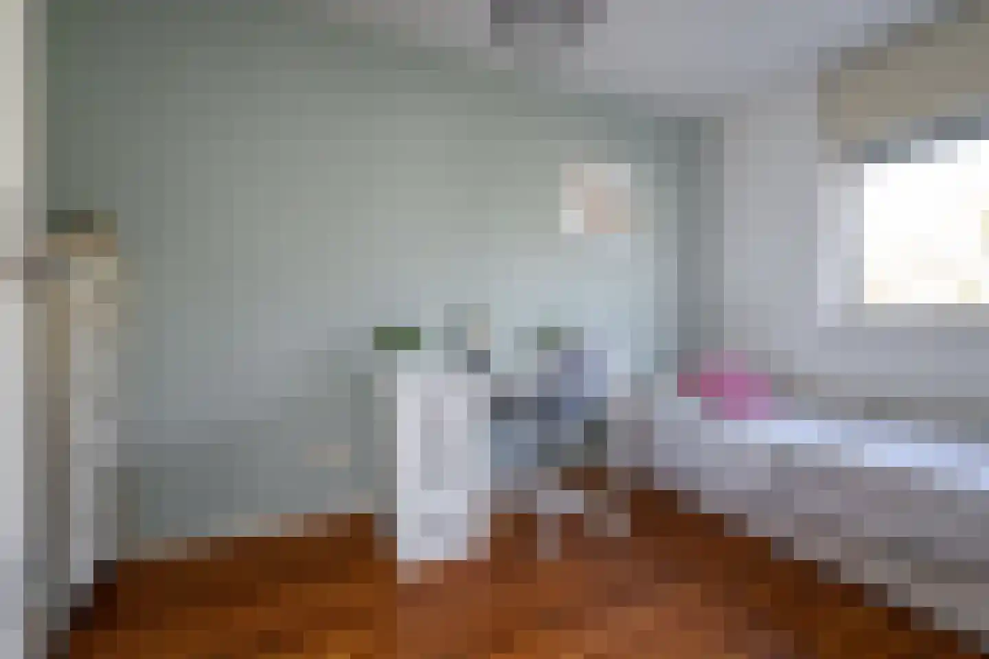 Gaast 20 Huizen thumbnail 25