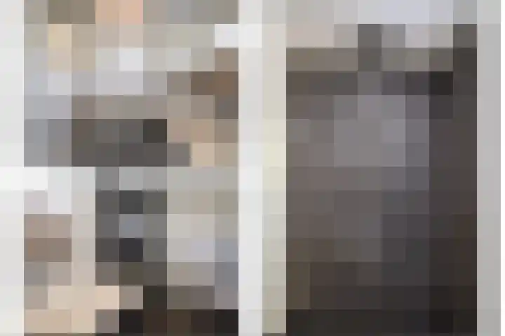 Gaast 20 Huizen thumbnail 28