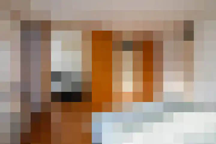 Gaast 20 Huizen thumbnail 31