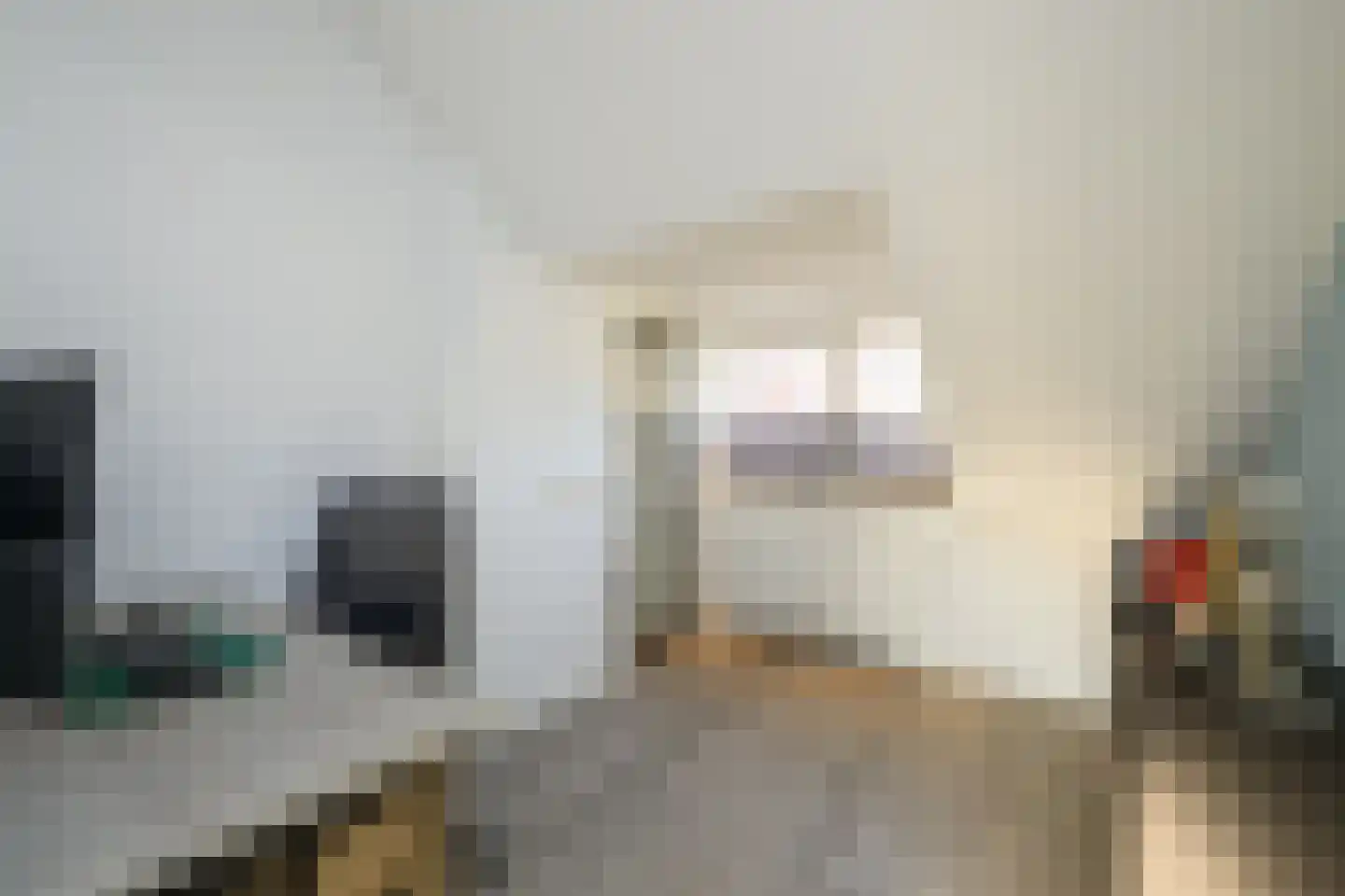 Gaast 20 Huizen thumbnail 33