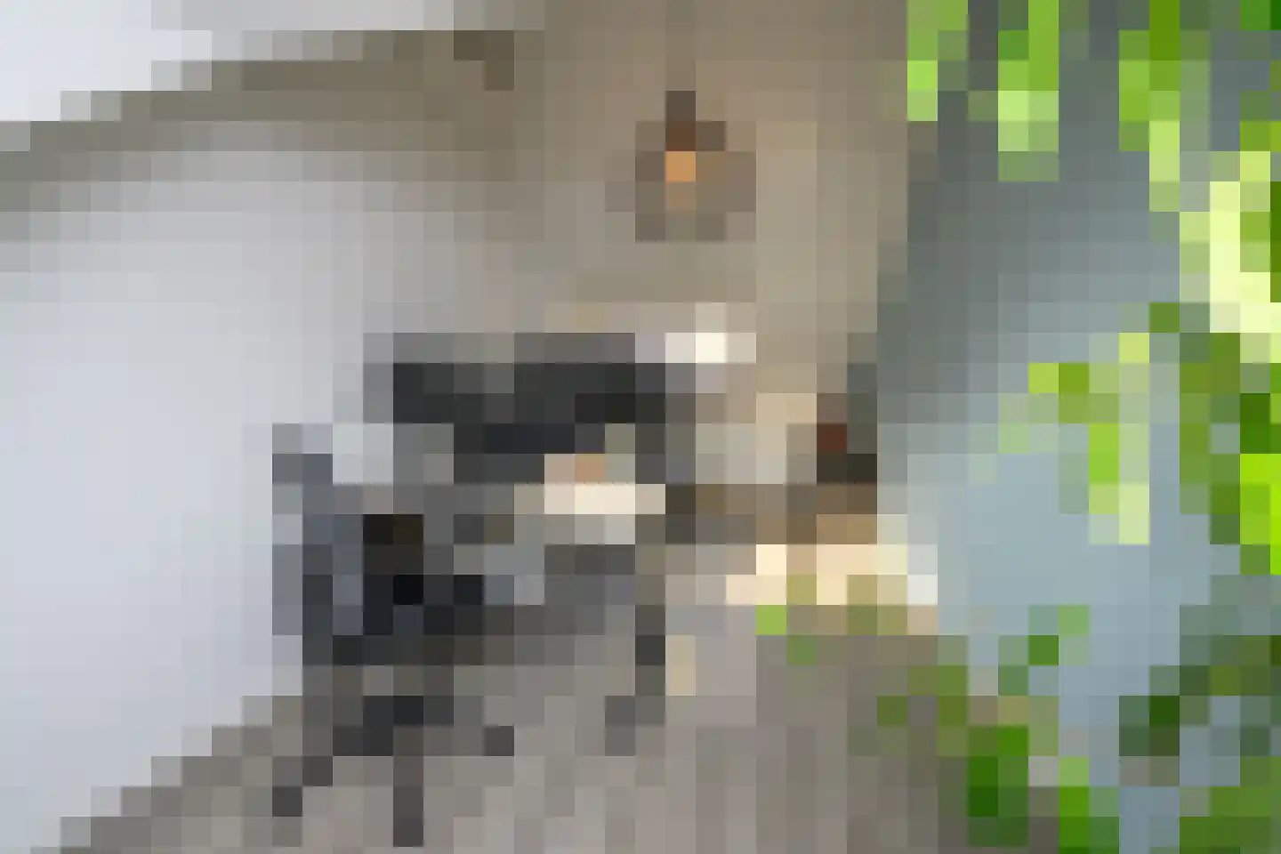 Gaast 20 Huizen thumbnail 34