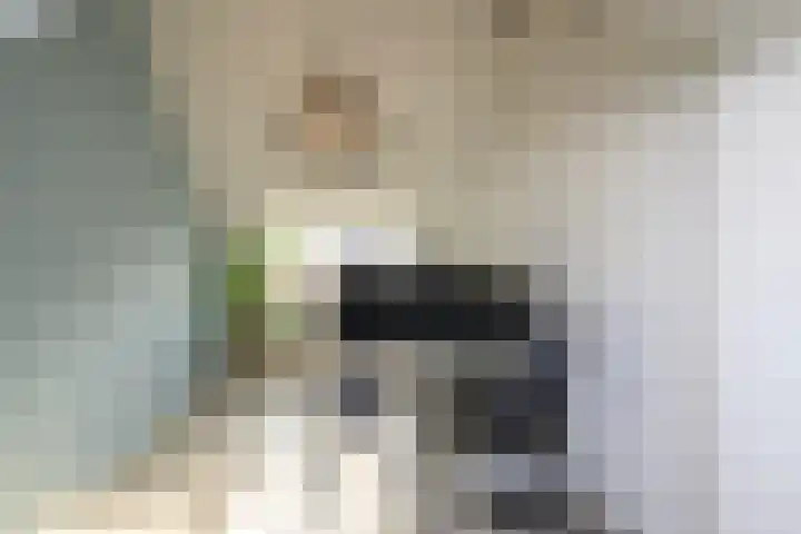 Gaast 20 Huizen thumbnail 35