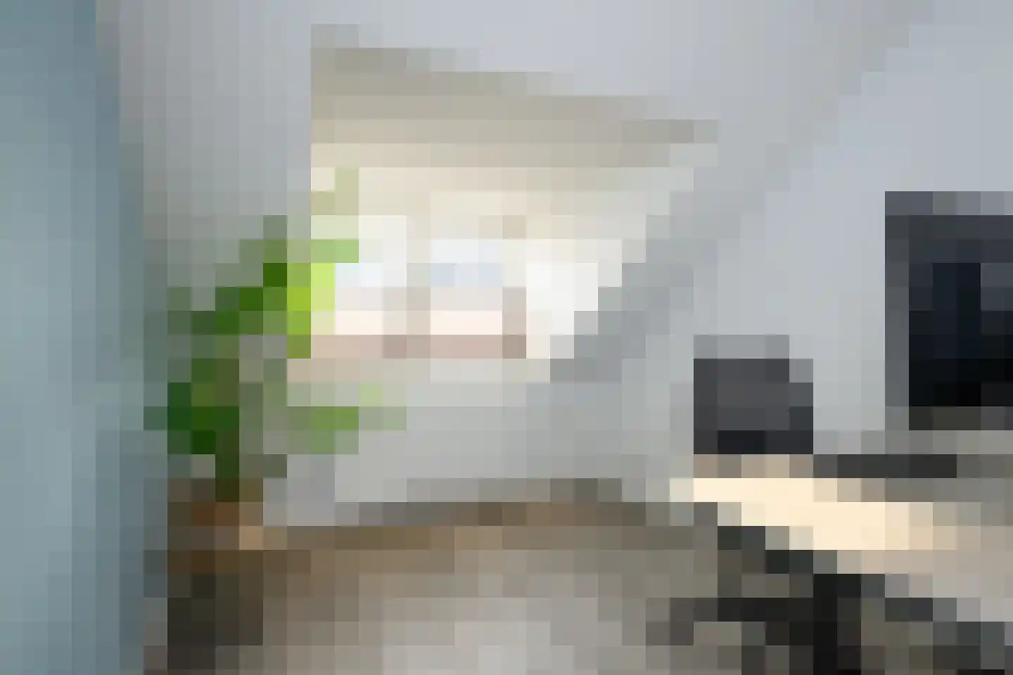 Gaast 20 Huizen thumbnail 36