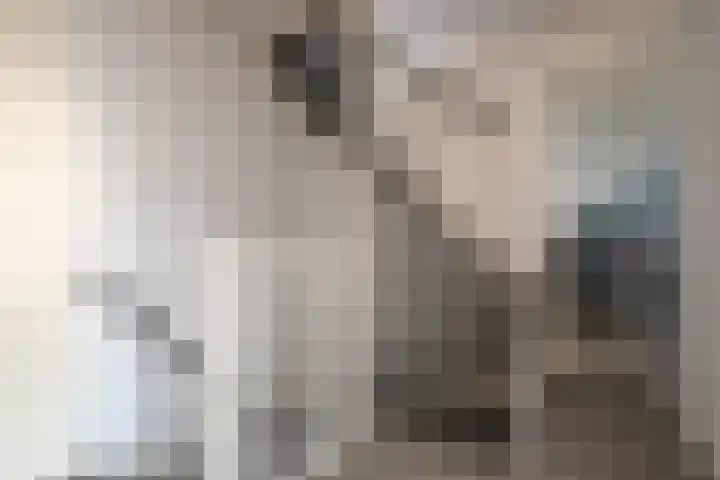 Gaast 20 Huizen thumbnail 37