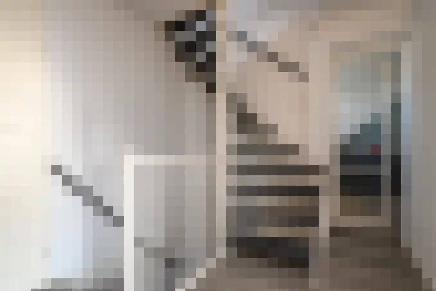 Gaast 20 Huizen thumbnail 37