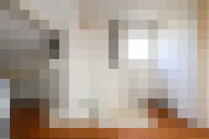 Gaast 20 Huizen thumbnail 38