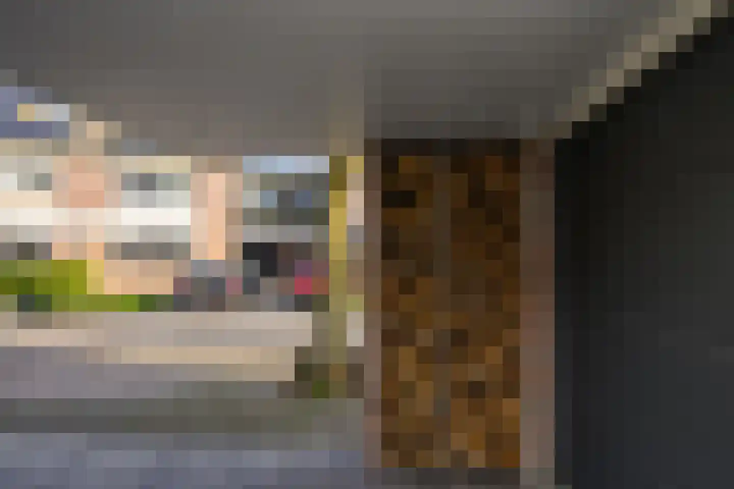 Gaast 20 Huizen thumbnail 4