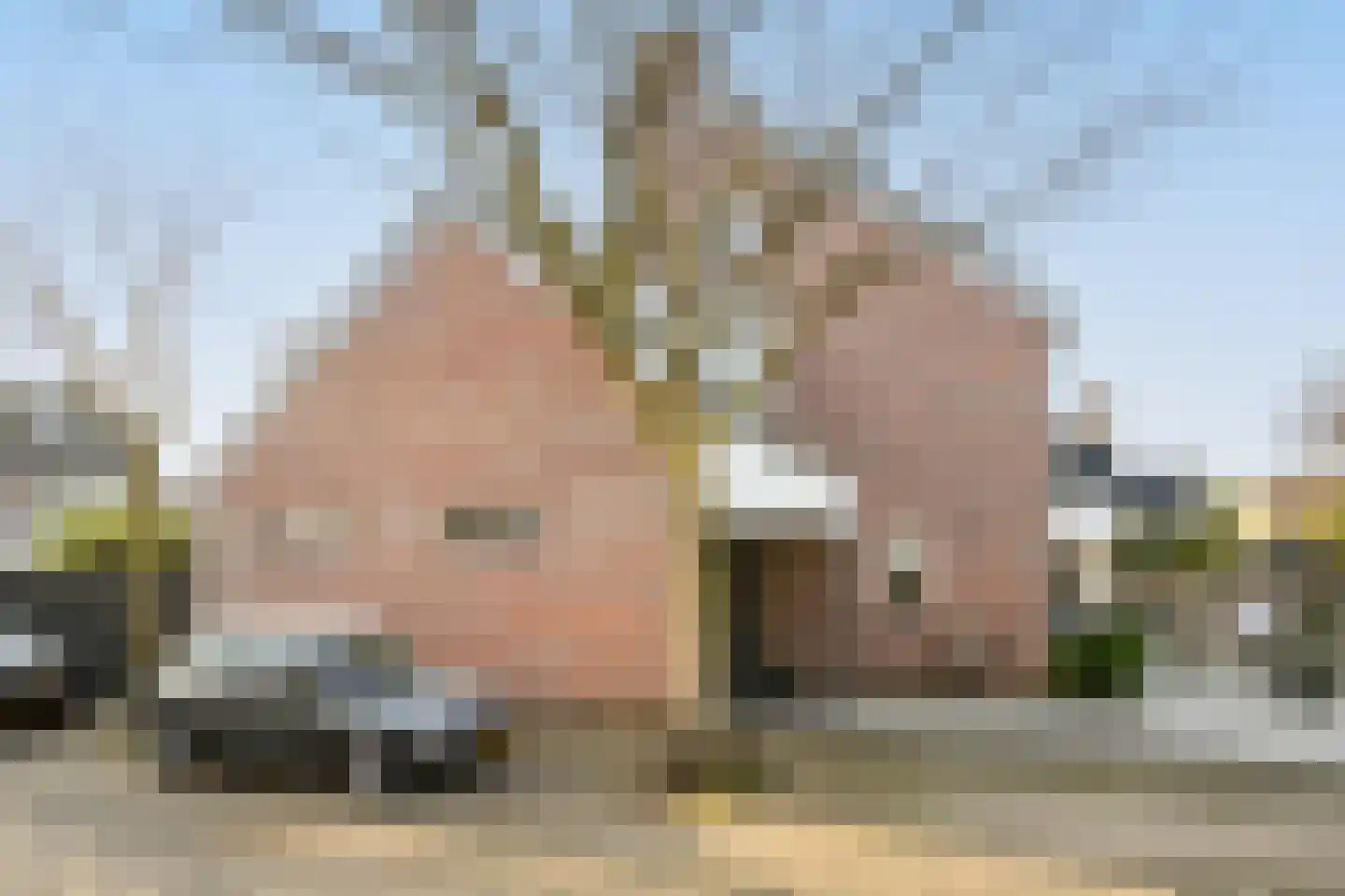 Gaast 20 Huizen thumbnail 43