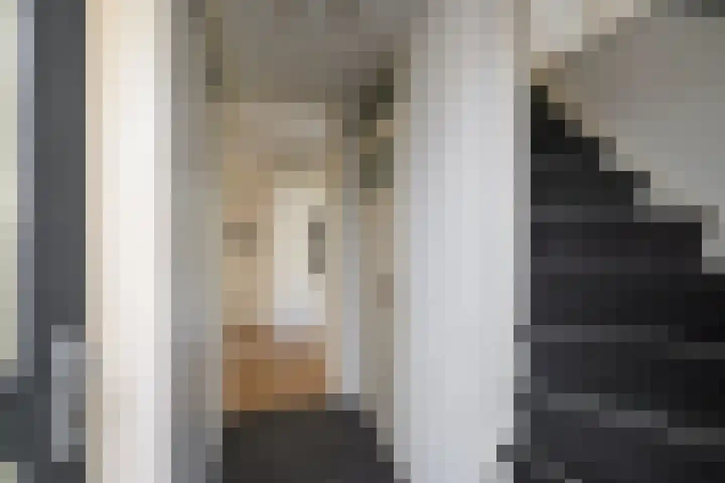 Gaast 20 Huizen thumbnail 5