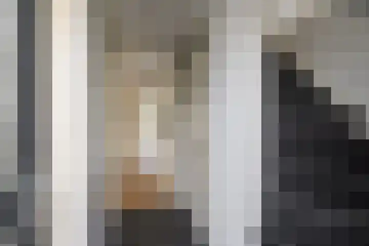 Gaast 20 Huizen thumbnail 5
