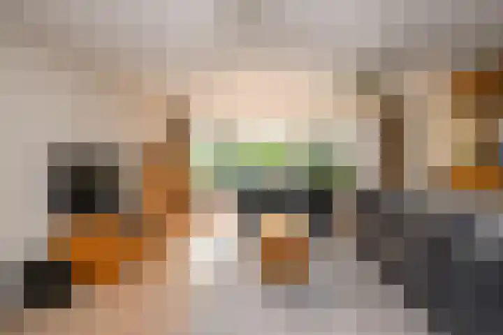 Gaast 20 Huizen thumbnail 7