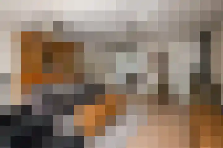 Gaast 20 Huizen thumbnail 8