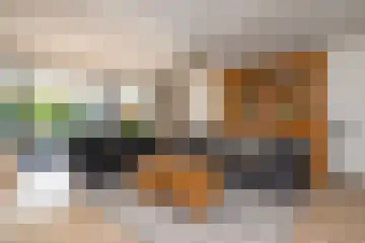 Gaast 20 Huizen thumbnail 9