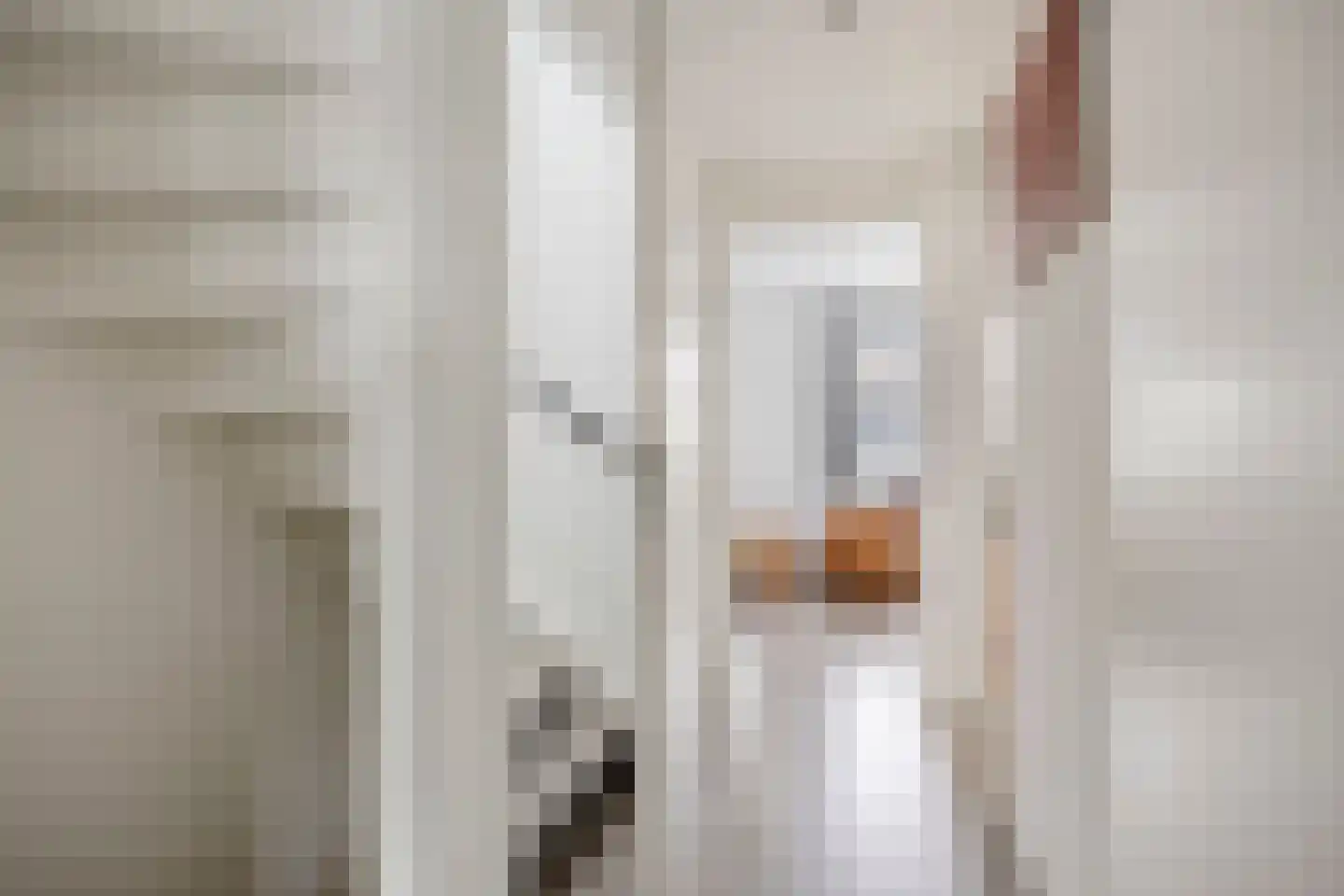 Gaast 3 Uden thumbnail 21