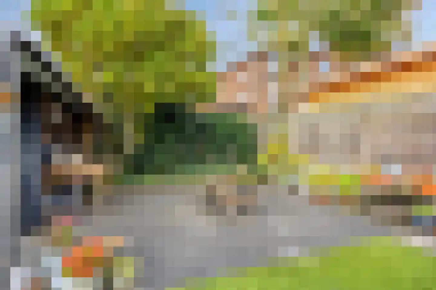 Gaast 3 Uden thumbnail 41