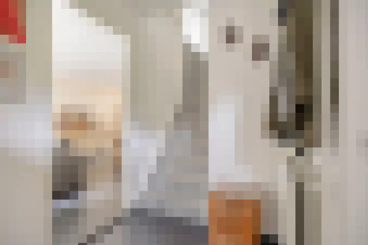 Gaast 3 Uden thumbnail 8