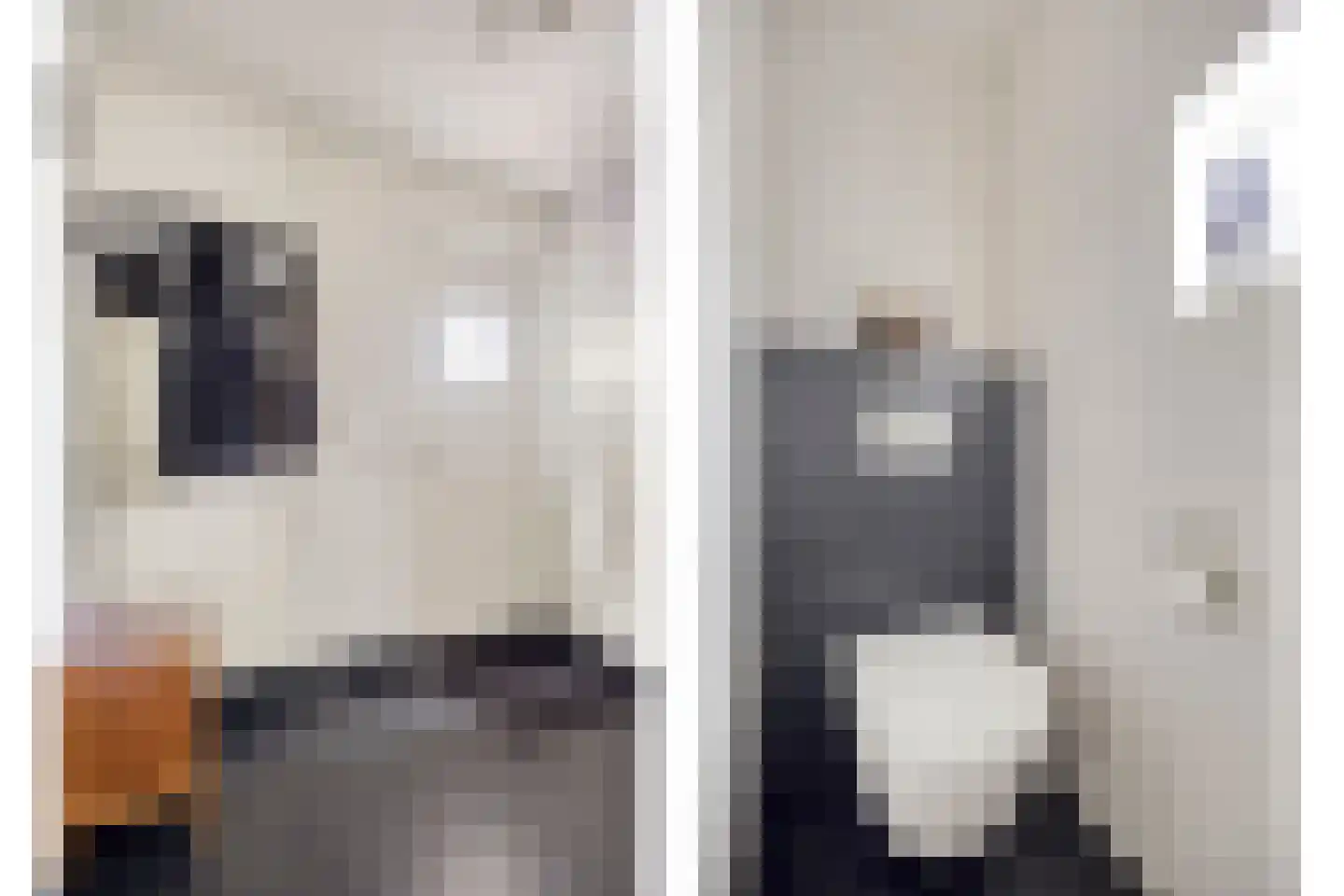 Gaast 3 Uden thumbnail 9