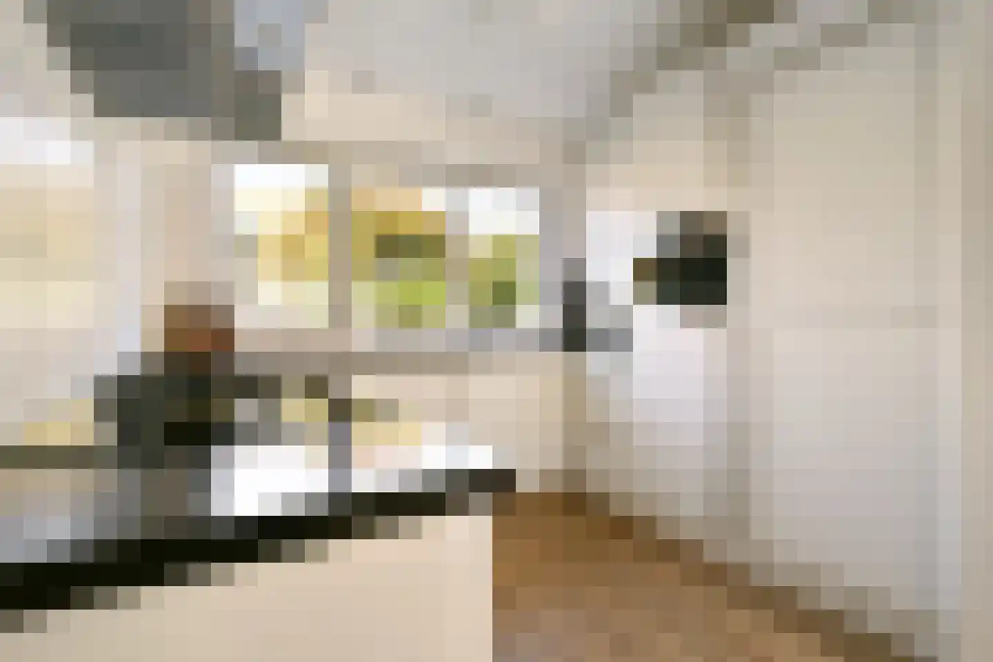 Gaasterland 1 Amstelveen thumbnail 12