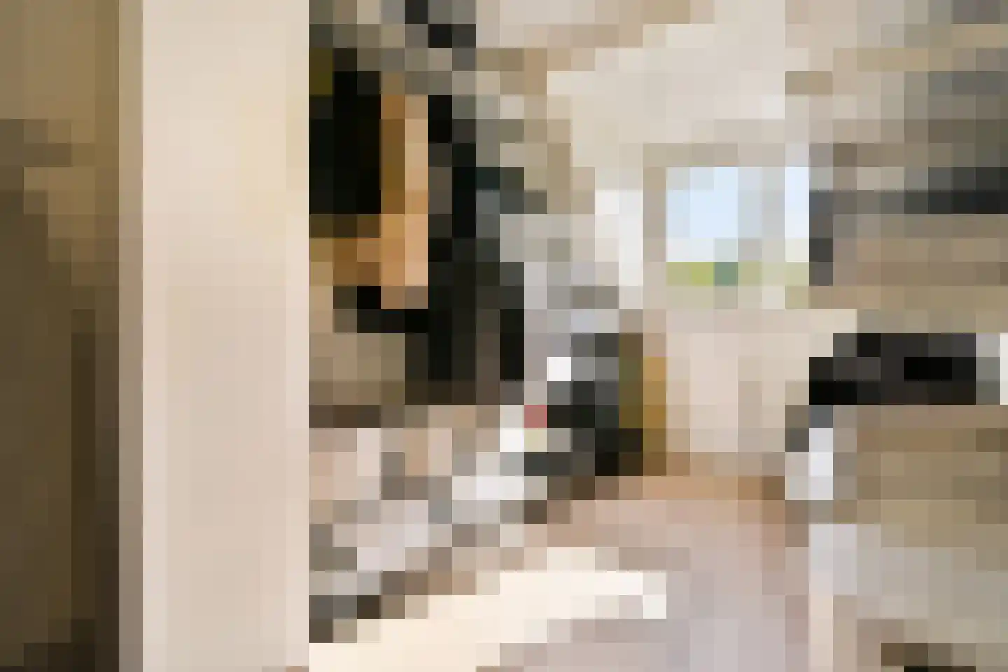 Gaasterland 1 Amstelveen thumbnail 23