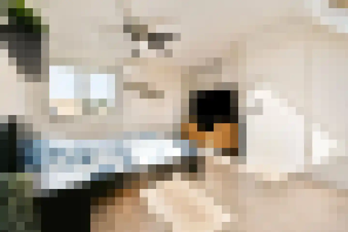Gaasterland 1 Amstelveen thumbnail 26